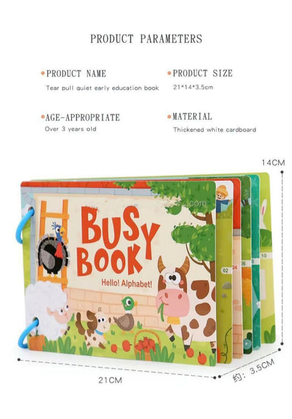 Busy Book